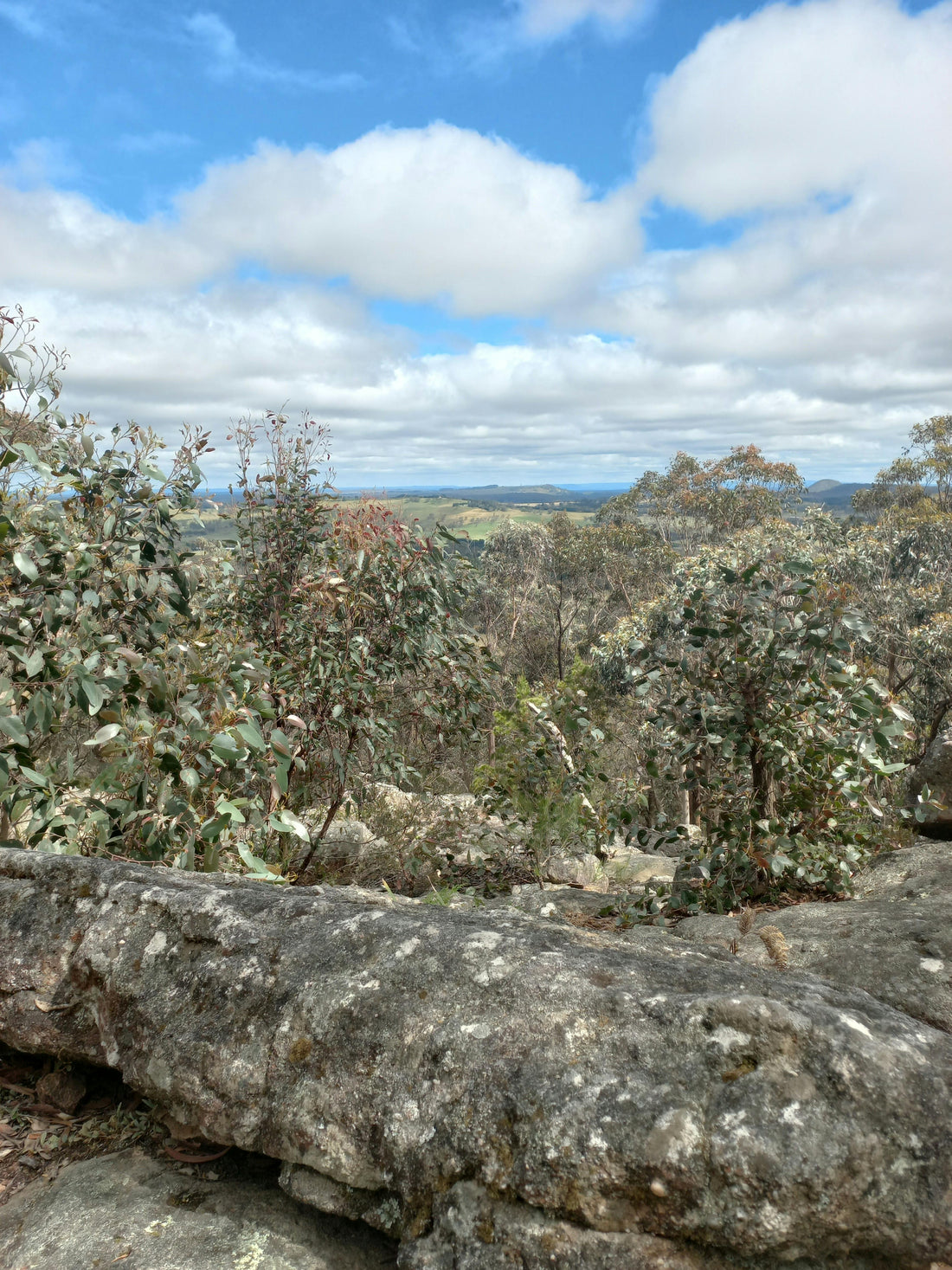 Top Motorcycle Riding Trails Around Southern Highlands, NSW – Explore with Nexx Helmets Australia